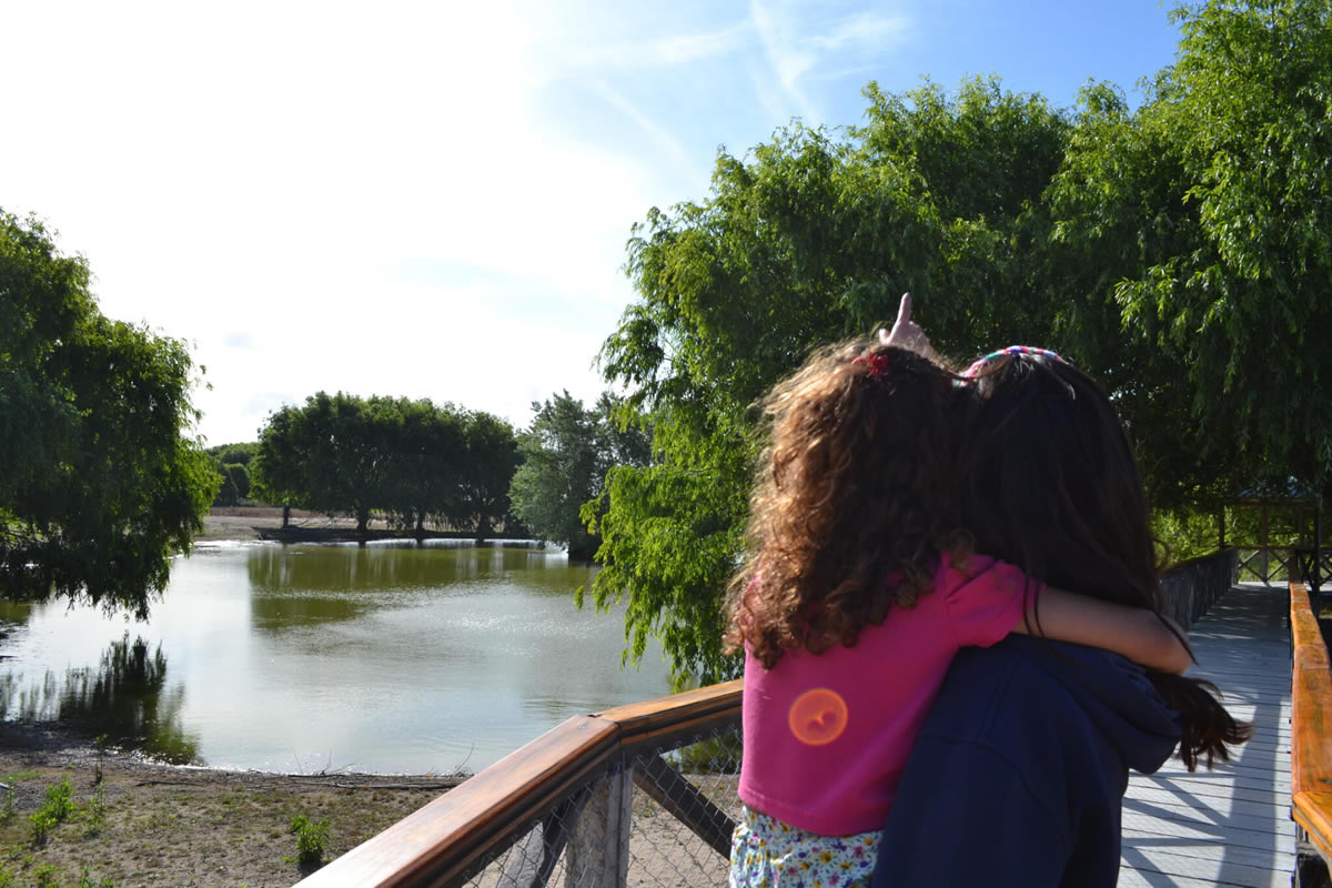 Dino Park